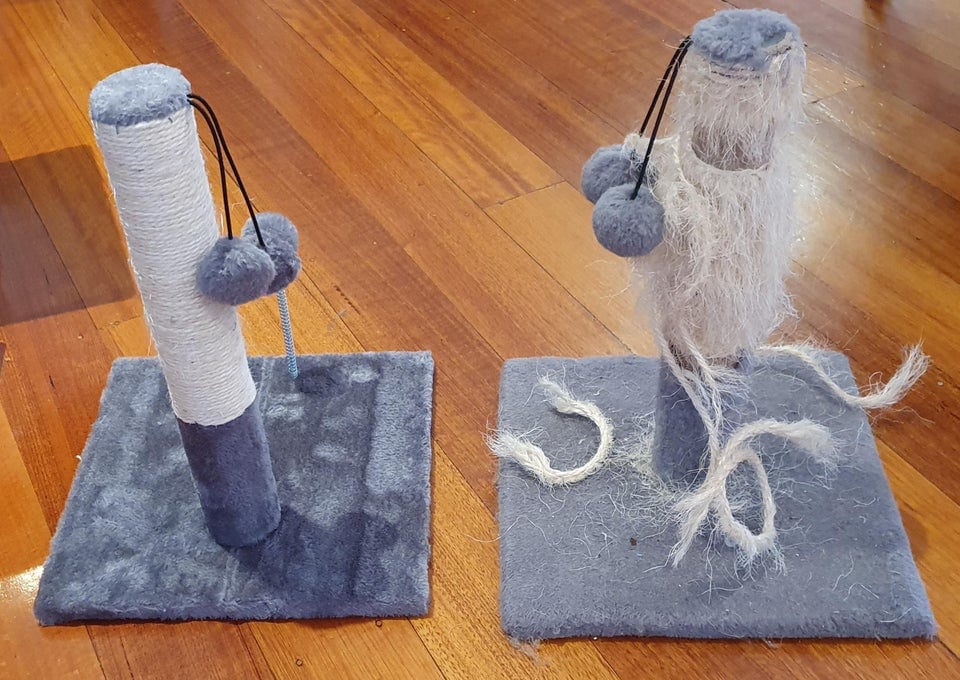 deux griffoirs pour chat