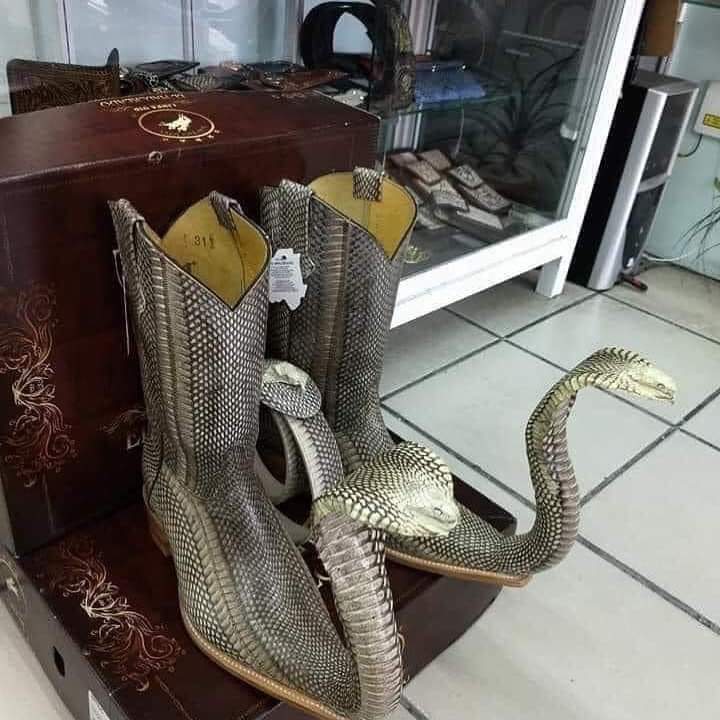 Bottines à imprimé serpent