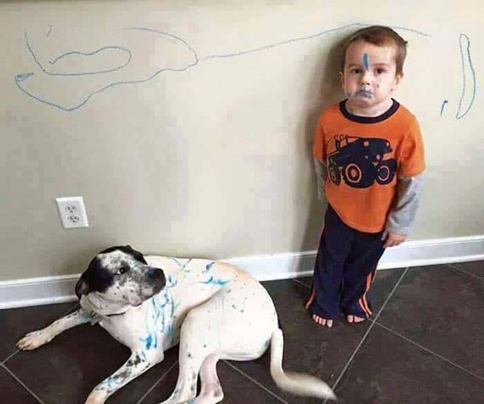 Un enfant et un chien