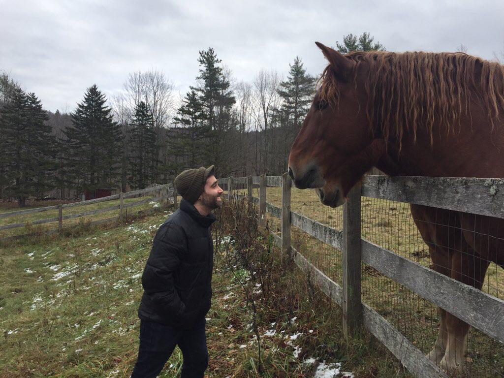 Cheval à deux bouches