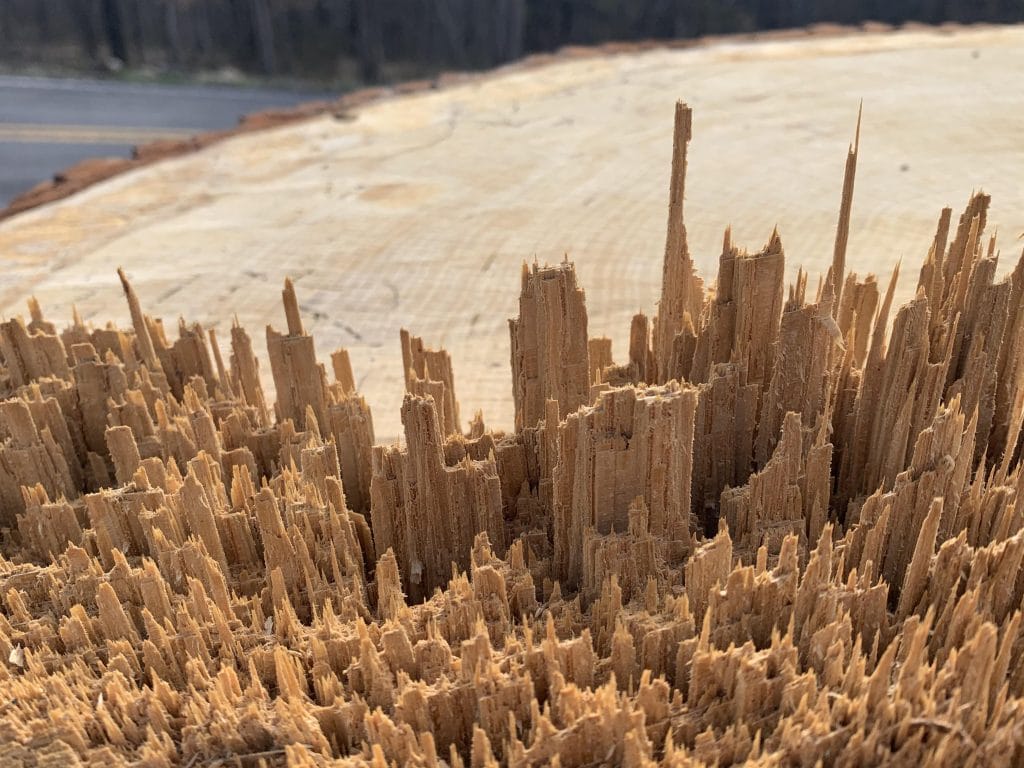 éclats de bois