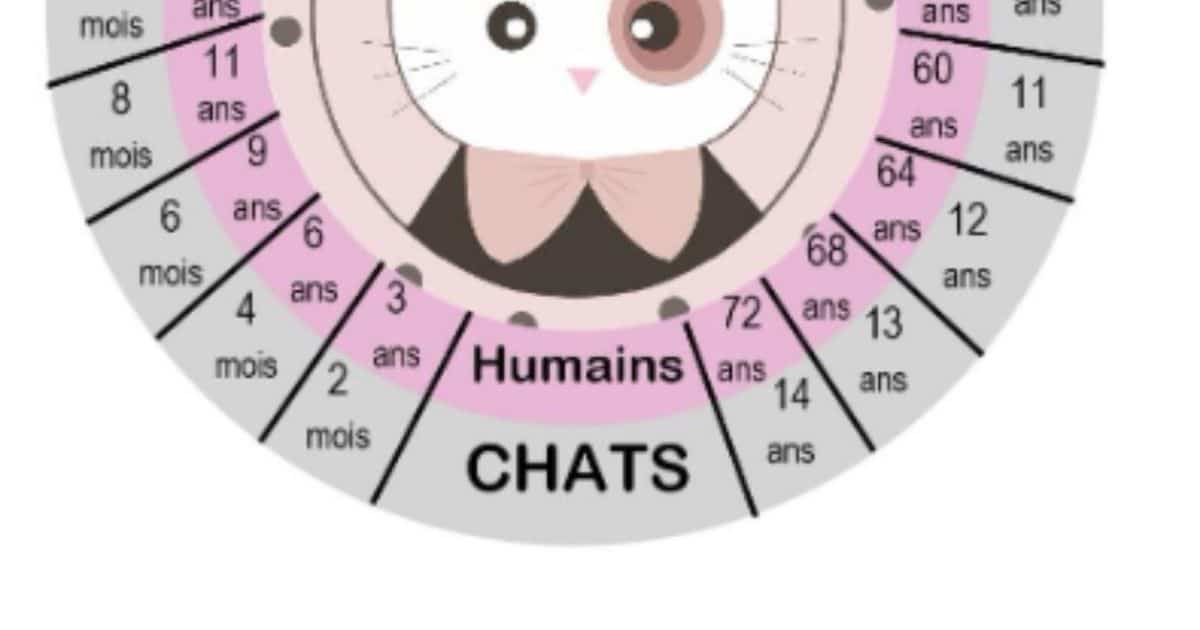 Comment déterminer l