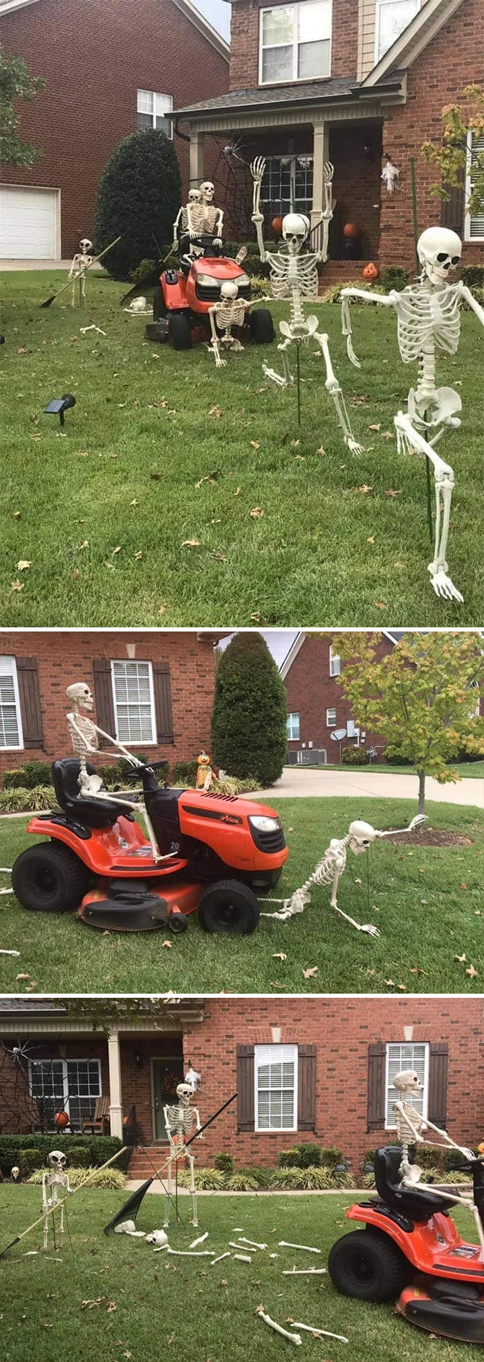 Décoration d'Halloween extérieure squelettes
