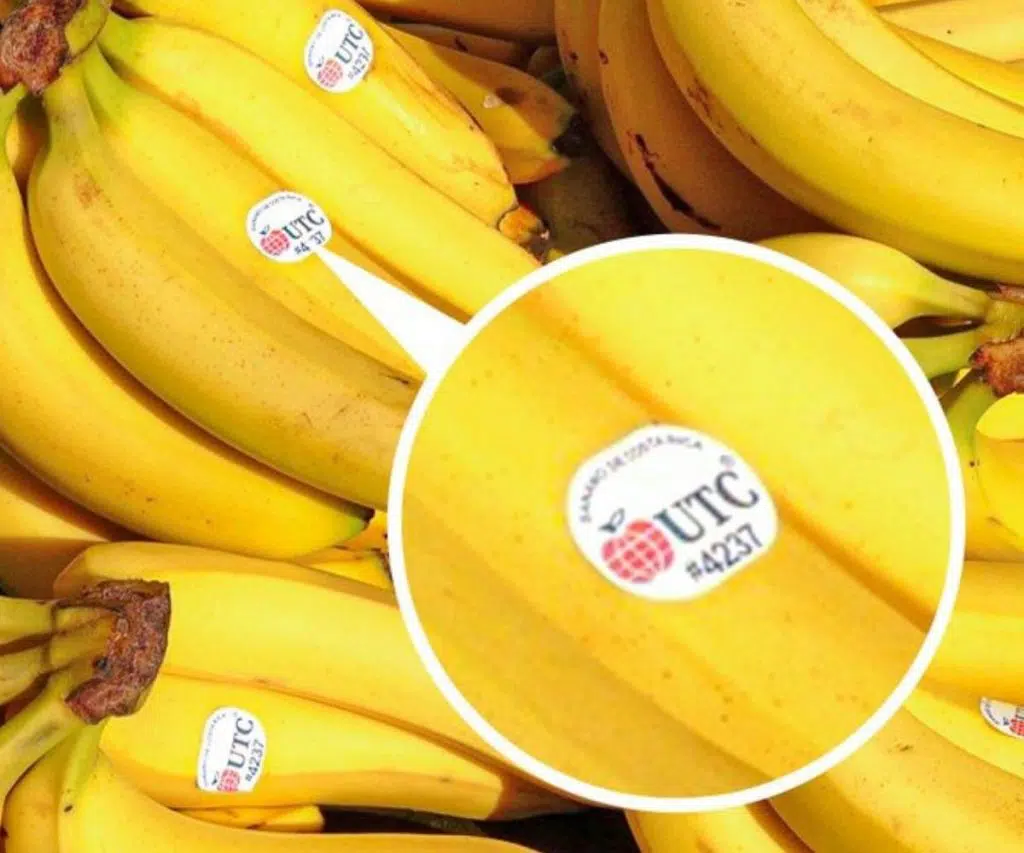bananes étiquetées