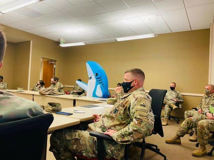 Se déguiser en requin à l'armée