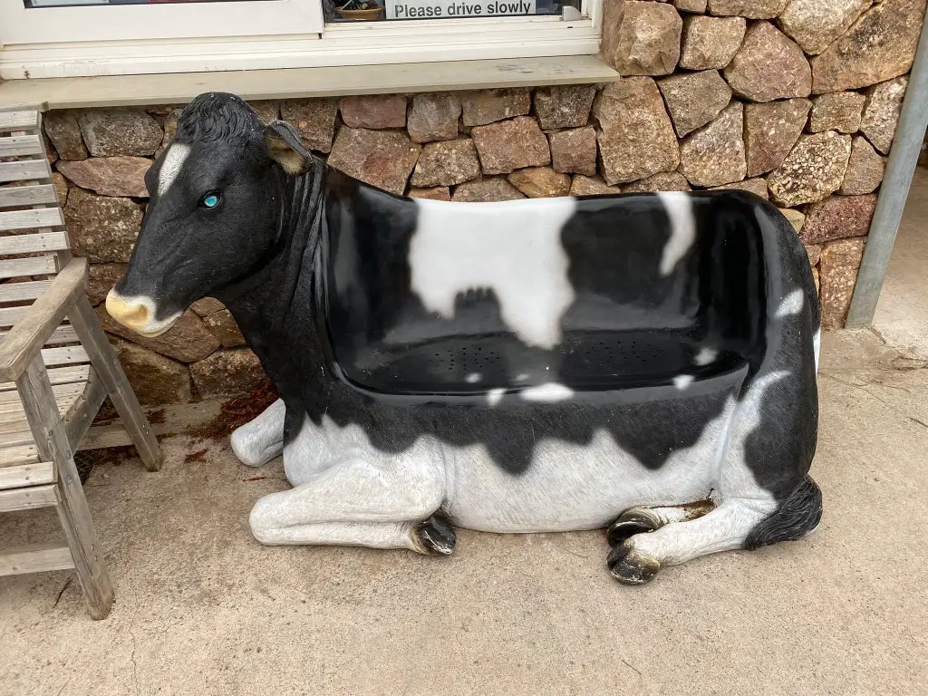 Un canapé vache