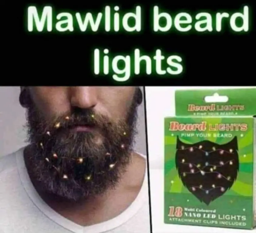 Guirlande LED pour barbe