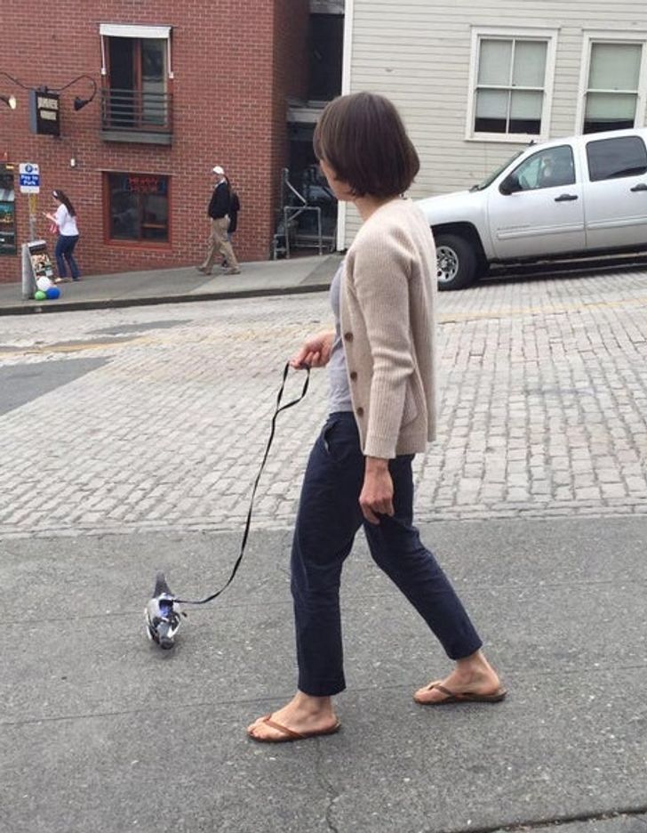 Une femme qui promèe un pigeon