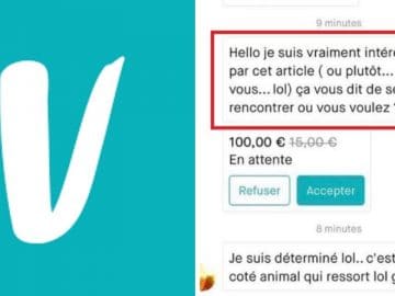 Vinted - personnalité - article