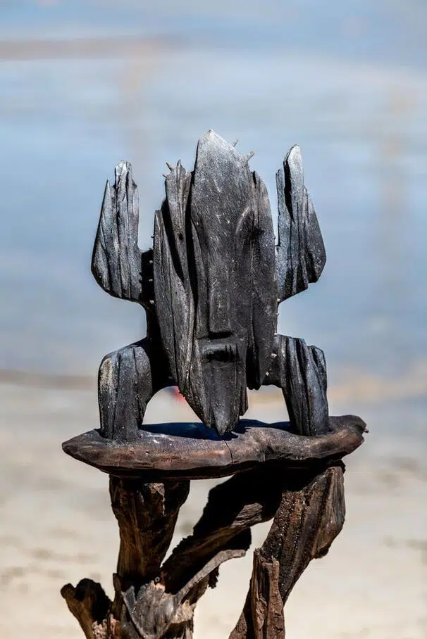 Le totem maudit apporte son lot de malédictions dans Koh-Lanta