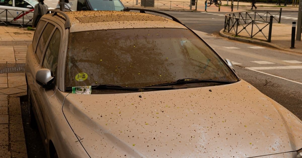 Sable du Sahara : comment laver sa voiture sans abîmer la carrosserie ?