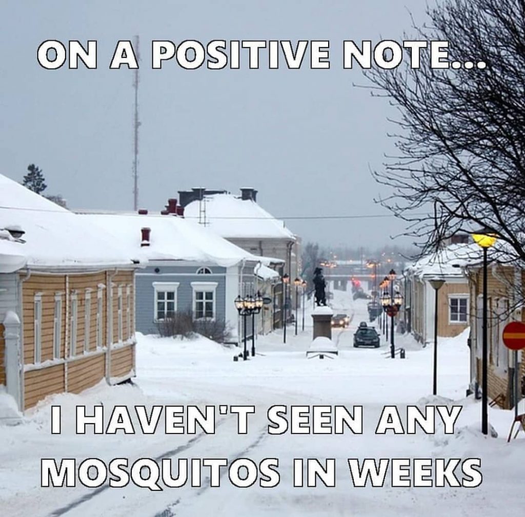 Les moustiques détestent l'hiver