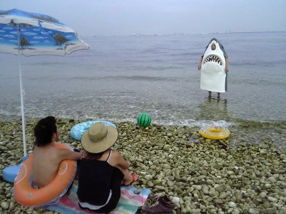 Costume de requin à la plage