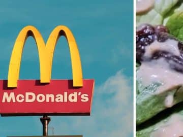 McDonald’s visée par une plainte après la découverte d’un lézard dans le burger d’une cliente