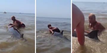 « La bêtise humaine dans toute sa splendeur » : une dame grimpe sur un dauphin qui était sur le point de s'échouer