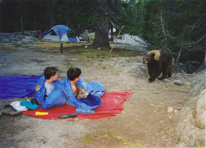 Ours