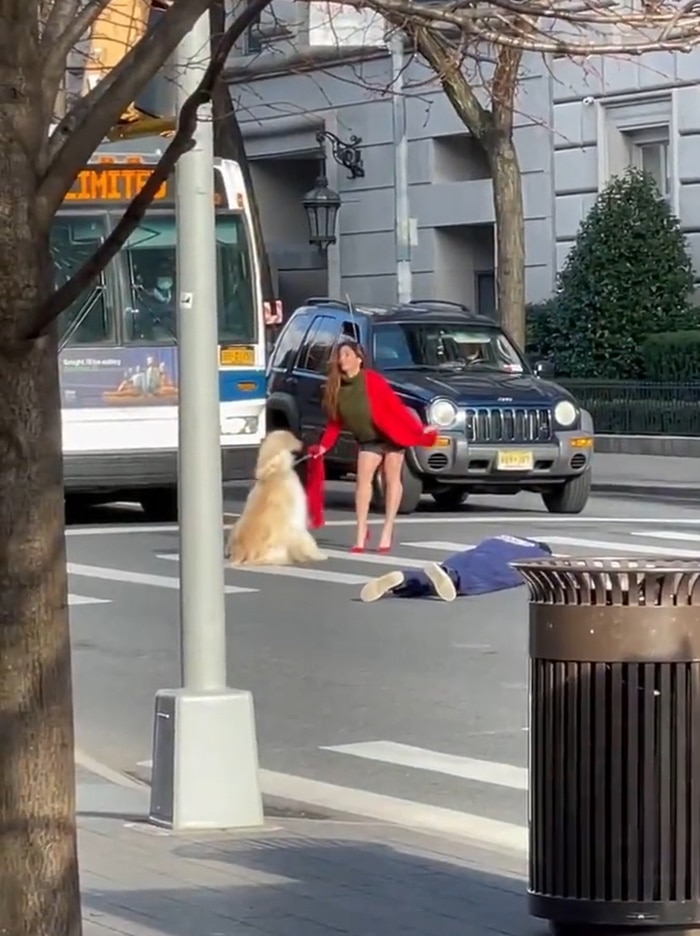 Une influenceuse avec son chien