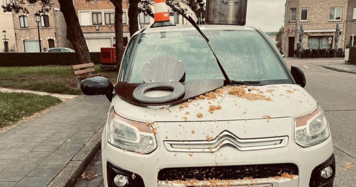 « Des copeaux de bois, de l’urine et des matières fécales partout » : elle a retrouvé sa voiture totalement vandalisée