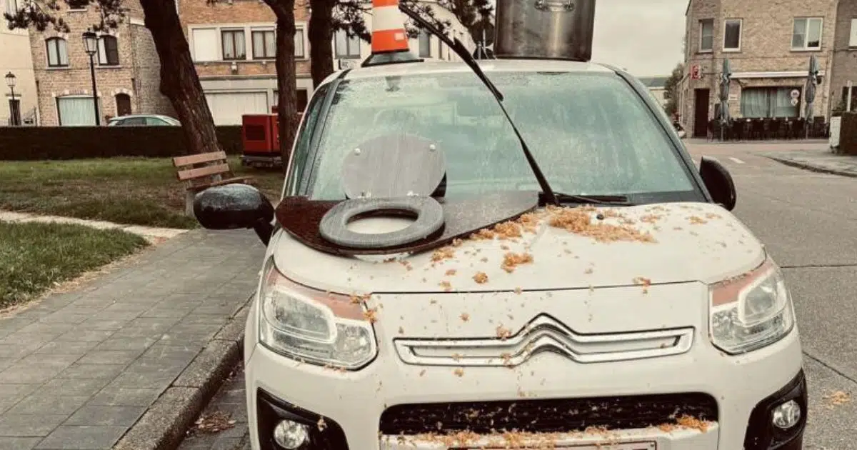« Des copeaux de bois, de l’urine et des matières fécales partout » : elle a retrouvé sa voiture totalement vandalisée