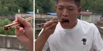 influenceur chinois