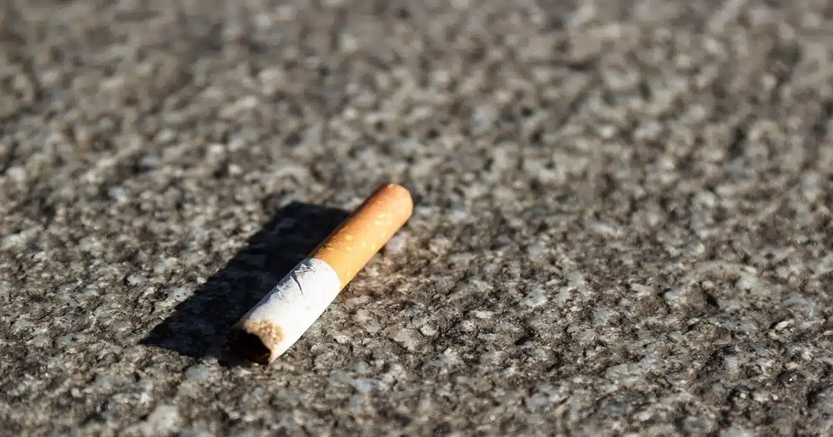 Mégots de cigarette